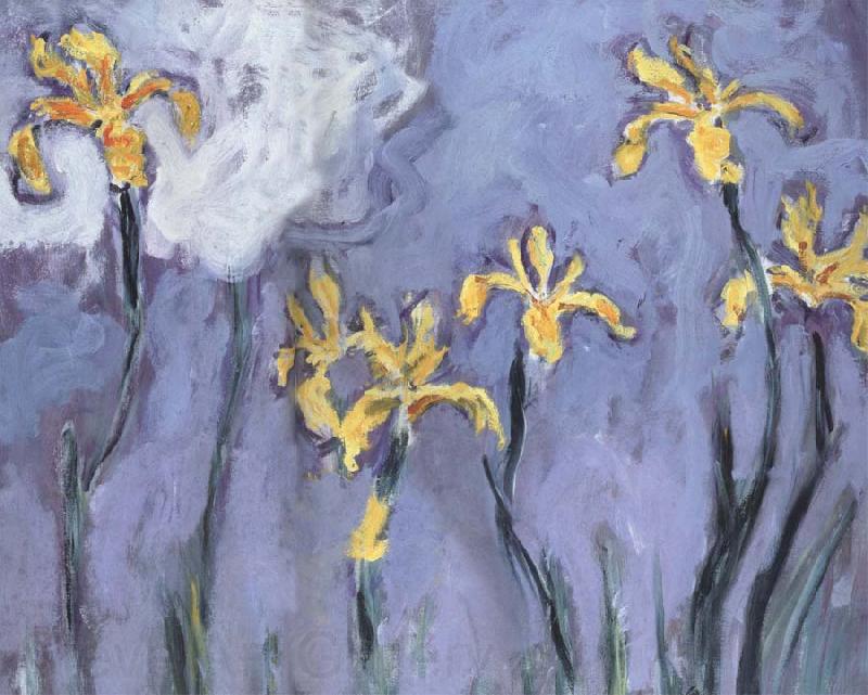Claude Monet Yellow Irises with Pink Cloud France oil painting art